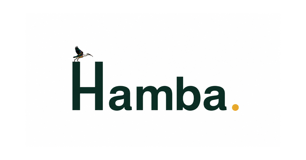 Hamba: Compare smarter. Fly Lekker.